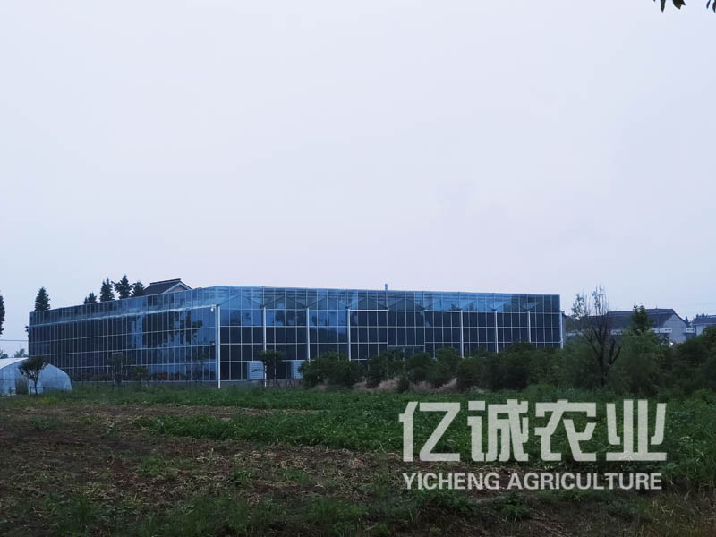 連棟玻璃溫室大棚建設(shè)